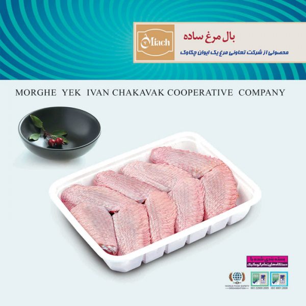 بال-مرغ-ساده