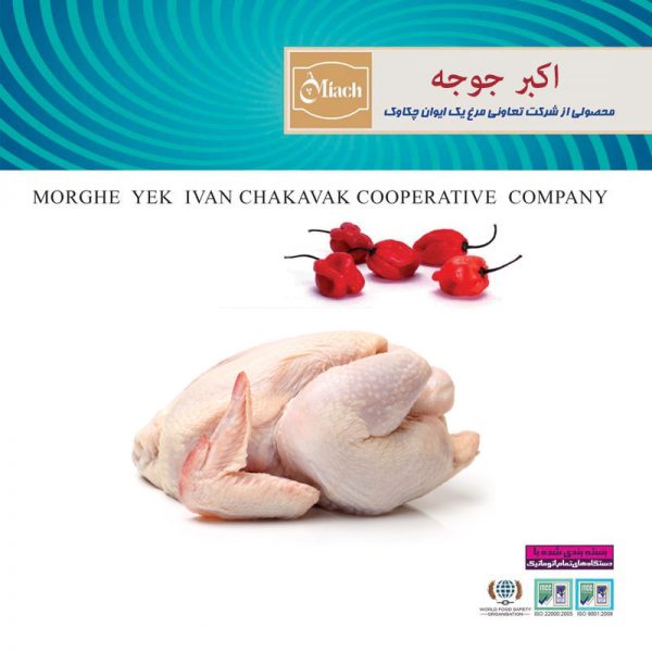 product-032-5